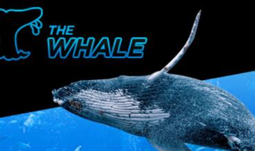 888poker afholder $500K Super Whale!